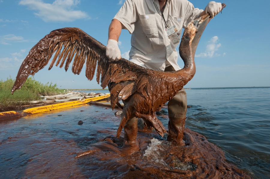 Deepwater Horizon. 12 ani de la cel mai grav dezastru de mediu din istoria SUA