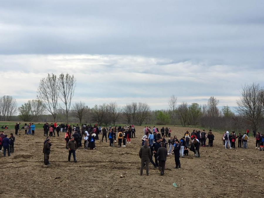 Elevi și profesori de la „Racoviță” au plantat peste 2.200 de puieți
