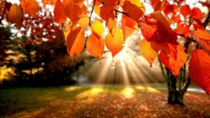 PROGNOZA METEO pentru perioada 9 - 22 septembrie: Vreme caldă, cu temperaturi normale pentru această perioadă