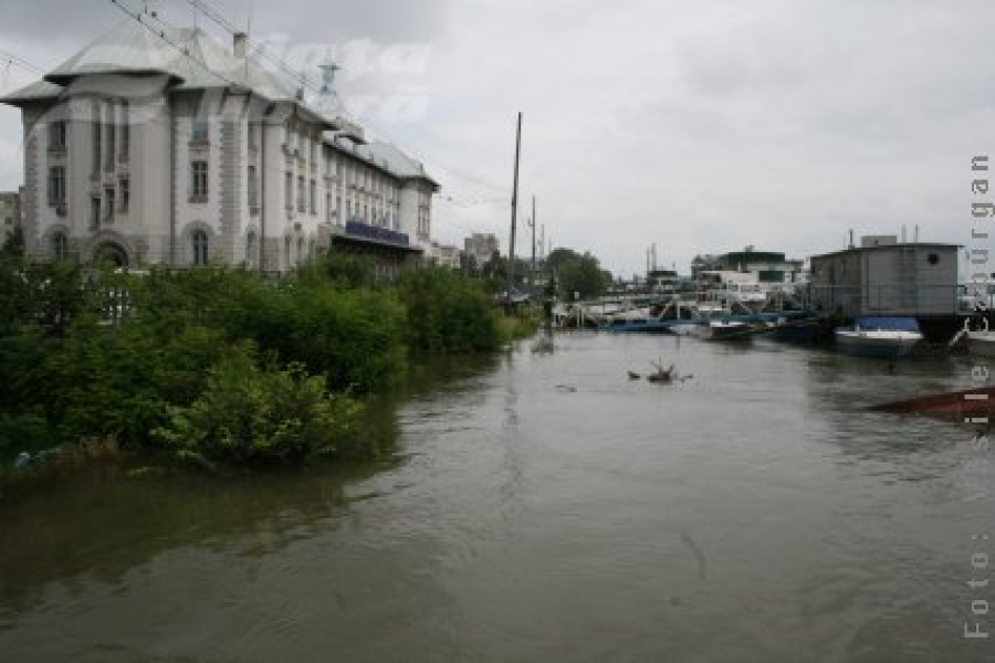 Şi Dunărea, ţop, peste maluri