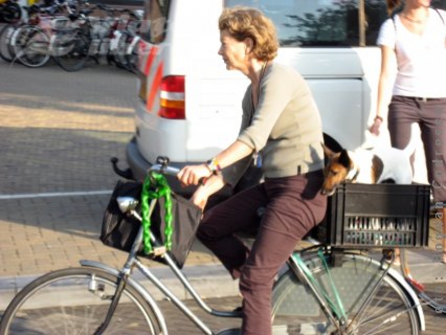 Piste pentru biciclişti în Galaţi