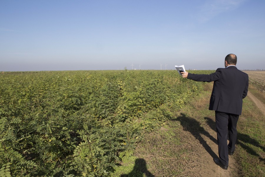 ÎMPĂDURIREA judeţului Galaţi începe la toamnă! Câte SUTE DE HECTARE vom avea în plus