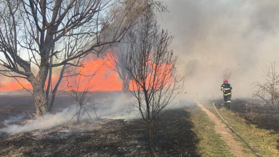 Incendiu în Delta Văcărești