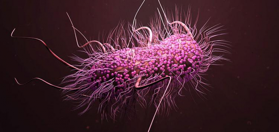 Omenirea intră într-o criză a antibioticelor