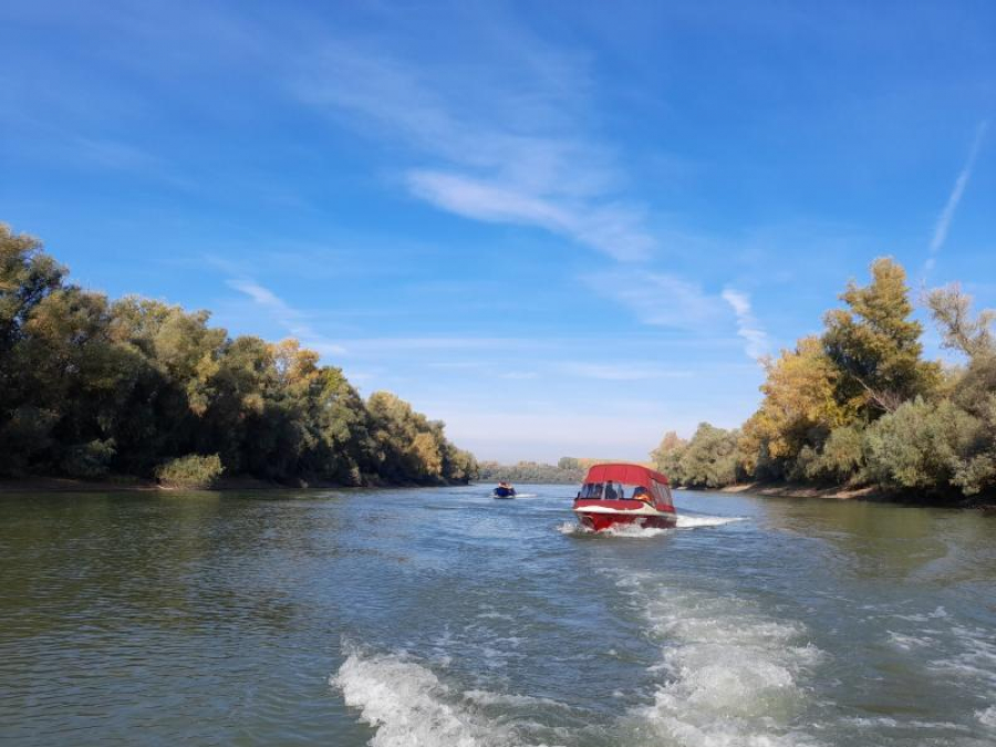 Excursii cu barca în Parcul Natural Balta Mică a Brăilei