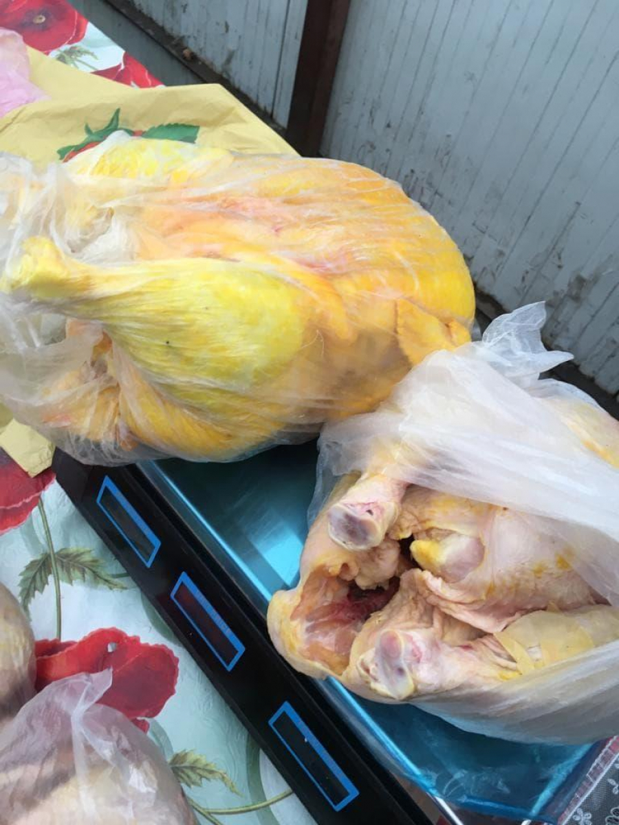 Găini vopsite, comercializate la intrarea în piaţă