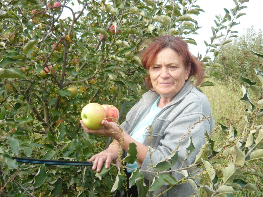 Merele Dragostinei Brăilescu/ Livadă cu dragoste de la Dumnezeu