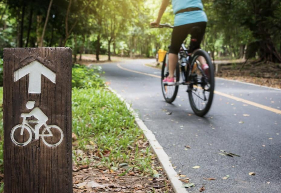 Drum pentru acces facil în Parcul Aventura