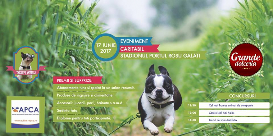 UPDATE | Iată când are loc evenimentul CARITABIL Prietenul meu cu blăniţă, organizat de APCA Galaţi şi Asociaţia Therapy Animals