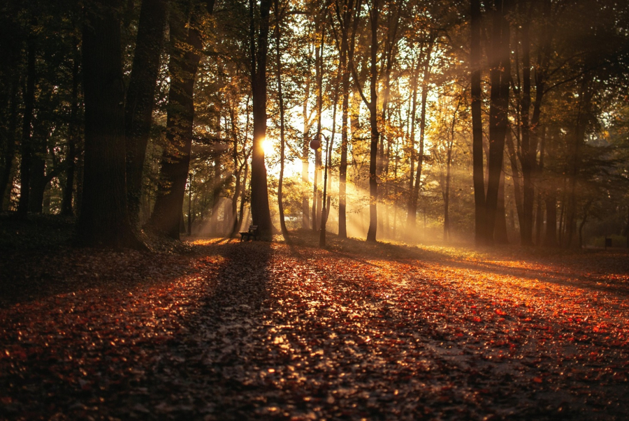 Cum va fi vremea pe parcursul lunii ianuarie