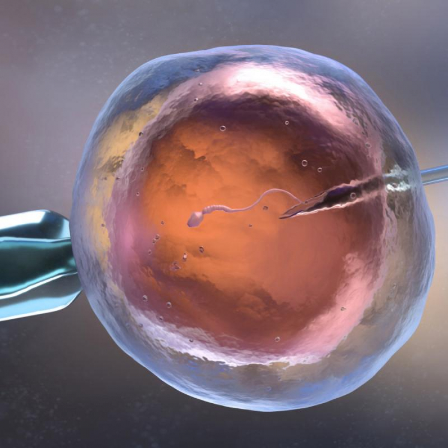 Bani de la stat pentru fertilizarea in vitro