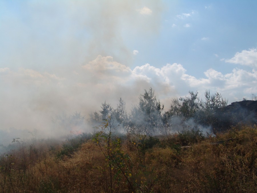 Societăţile agricole, taxate de Garda de Mediu: Amenzi pentru ignorarea măsurilor de prevenire a incendiilor