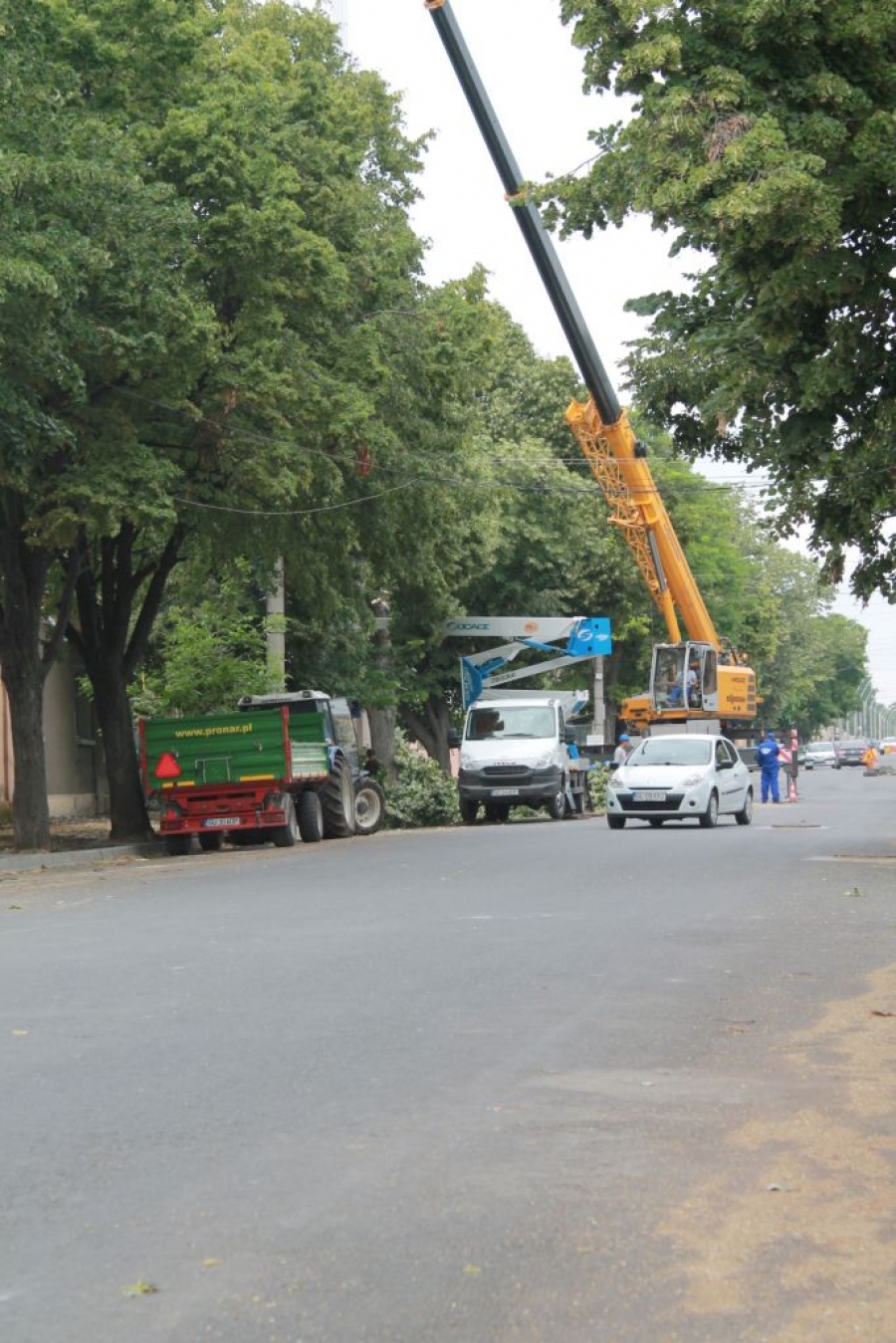 ATENȚIE, trecători! Se TAIE COPACI pe Strada Traian