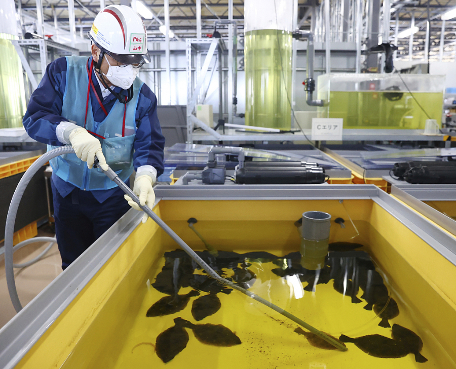 China interzice importurile de alimente din Japonia
