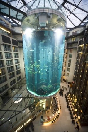 Locul unde rămâi cu gura căscată: AquaDom - cel mai mare acvariu cilindric din lume