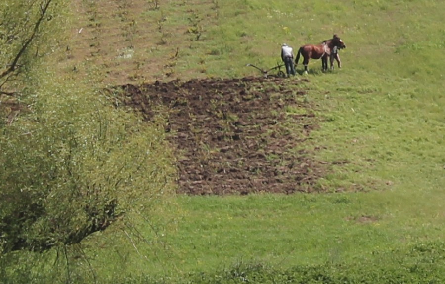 Sărăcia ne omoară! Agricultură ca-n Evul Mediu