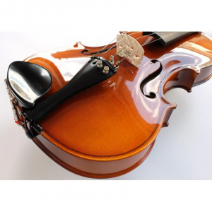 Instrumente muzicale „made in Romania”