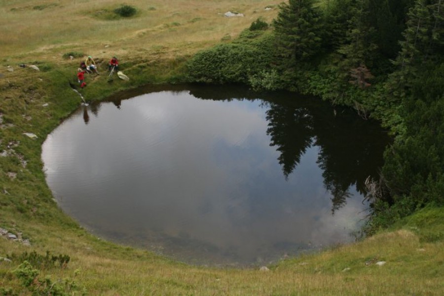 Modelată de gheţari în calcar, Valea Soarbele este o minune a naturii