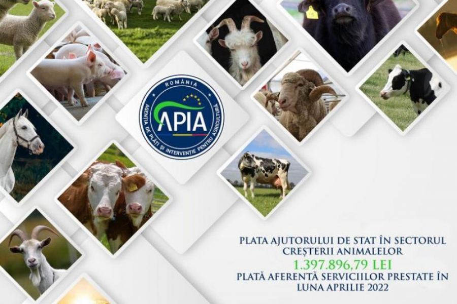 Ajutor de stat pentru creșterea animalelor