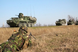 EXERCIȚIU MILITAR de amploare, la Tulcea, cu sute de soldaţi din forţele terestre şi navale
