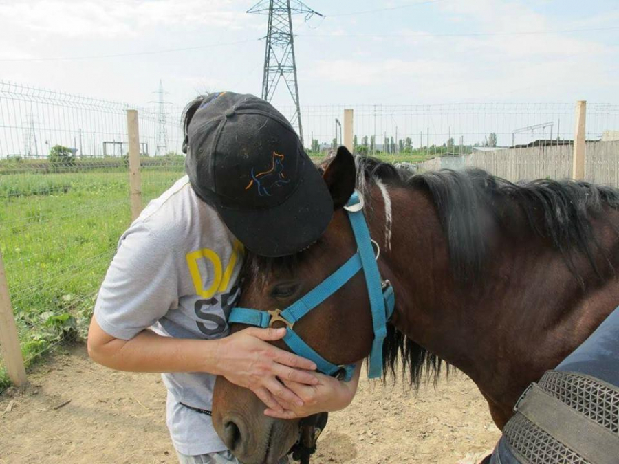 Aproape 100 de cai de povară din Galaţi, trataţi la Help Lăbuş