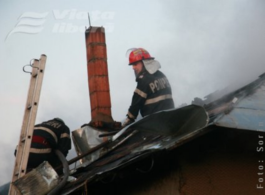 Şapte ore de luptă cu flăcările la Iveşti