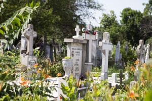 Proaspăt aprobate în Consiliul Local: TARIFE noi în cimitire