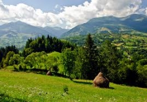 ”Ziua Europeană a Parcurilor Naţionale”, la Biblioteca ”V. A. Urechia”