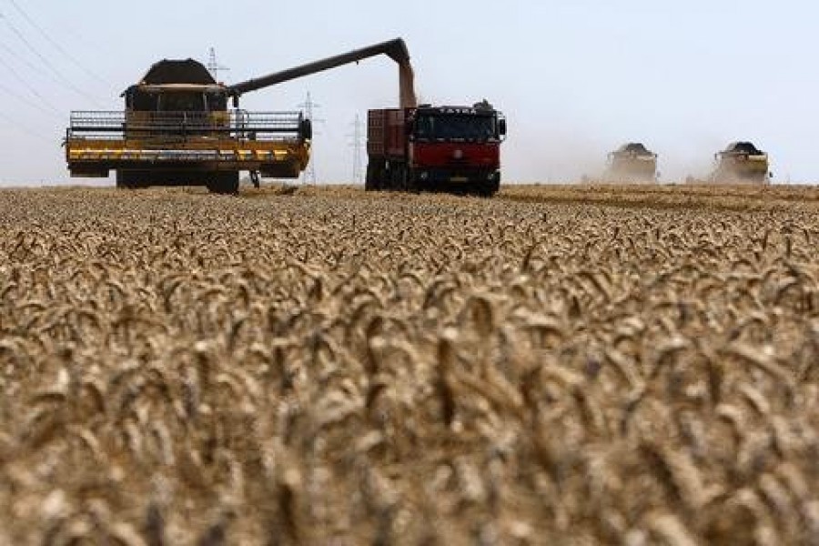 Banca Mondială susţine agricultura cu milioane de lei