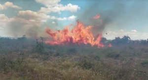 Stare de urgență lângă Galați. Încă un teren cu vegetație a luat foc (VIDEO)