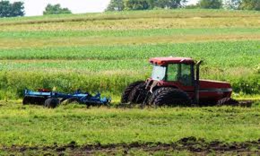 Târg de joburi în agricultură