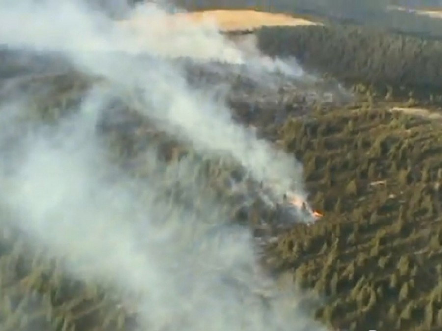 Incendiul de vegetaţie din Transalpina: Peste 200 de pompieri intervin pentru stingerea focarelor