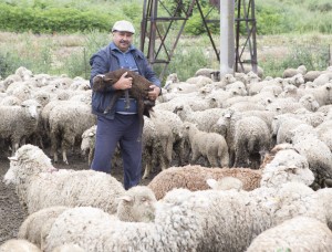 foto: Bogdan Codrescu