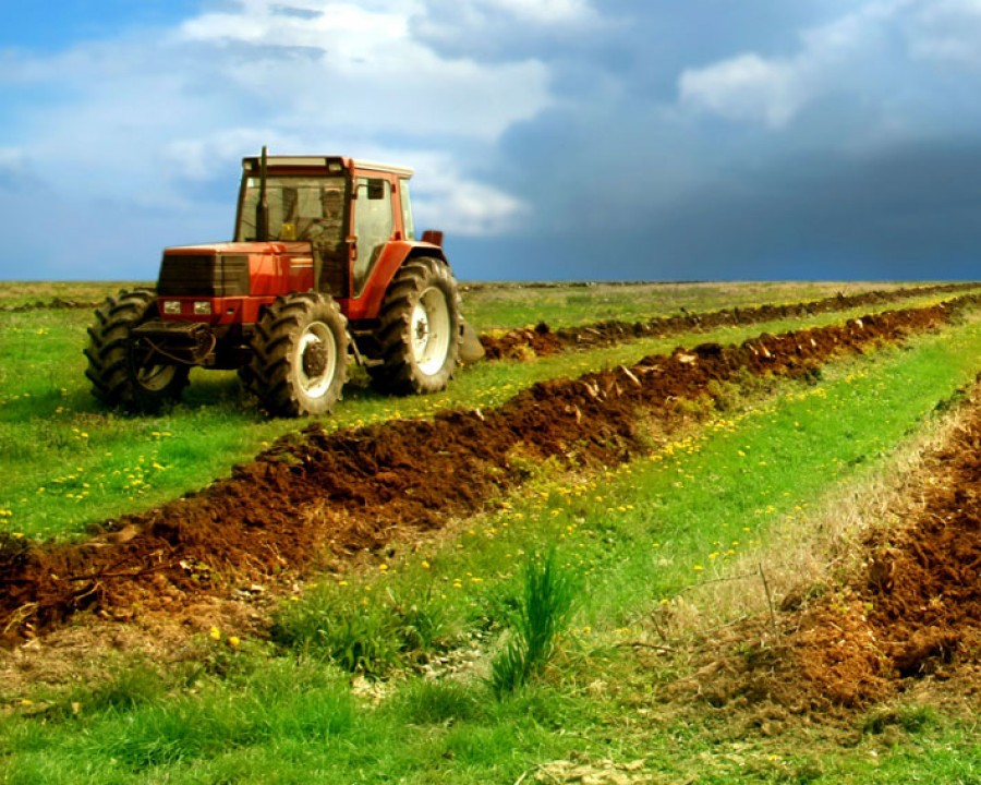 Bugetul alocat de stat Agriculturii va creşte anul viitor cu 7%, la 5,88 miliarde de lei