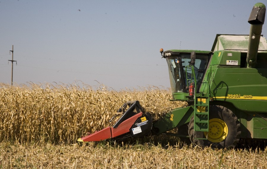 Fonduri pentru fermieri/ Agricultorii îşi vor PRIMII BANII în următoarea perioadă