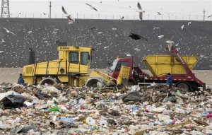 Ecosal, obligat de Garda de Mediu să împrejmuiască groapa de gunoi
