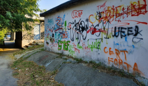 Graffiti pe zidurile propuse demolării