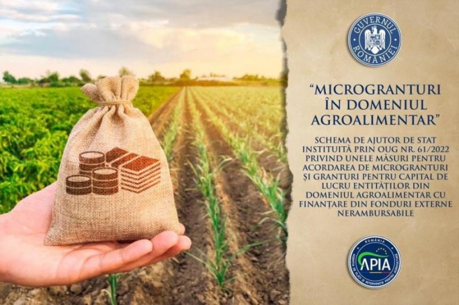 Microgranturi în agricultură