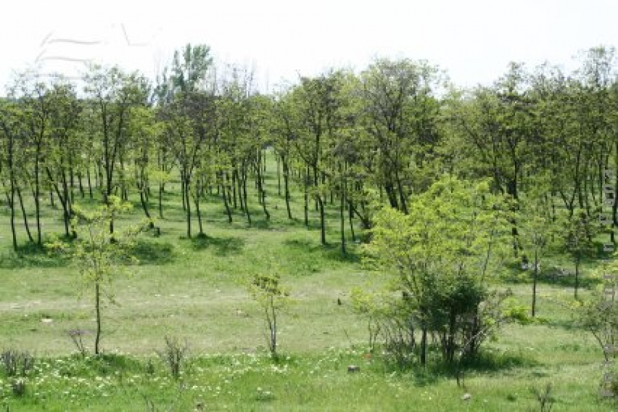 1 Mai curat decât în alţi ani