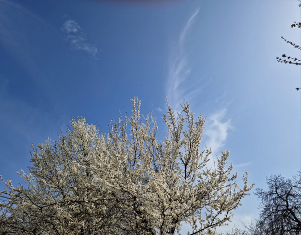 Temperaturile vor trece astăzi de 20 de grade Celsius