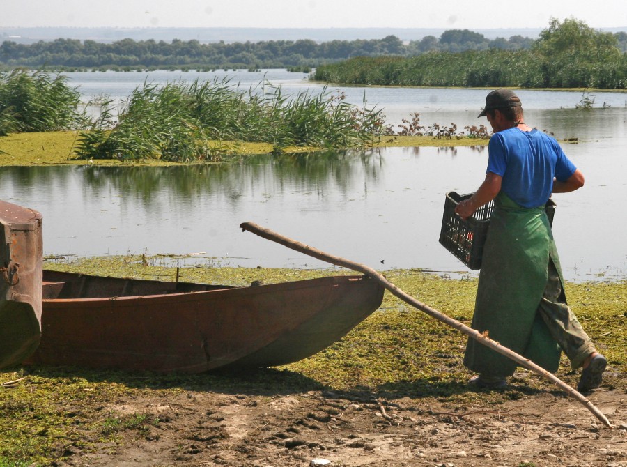 Campanie VL Pescari pe Apa Sâmbetei: Cine va primi milioane ca să facă afaceri cu peşte