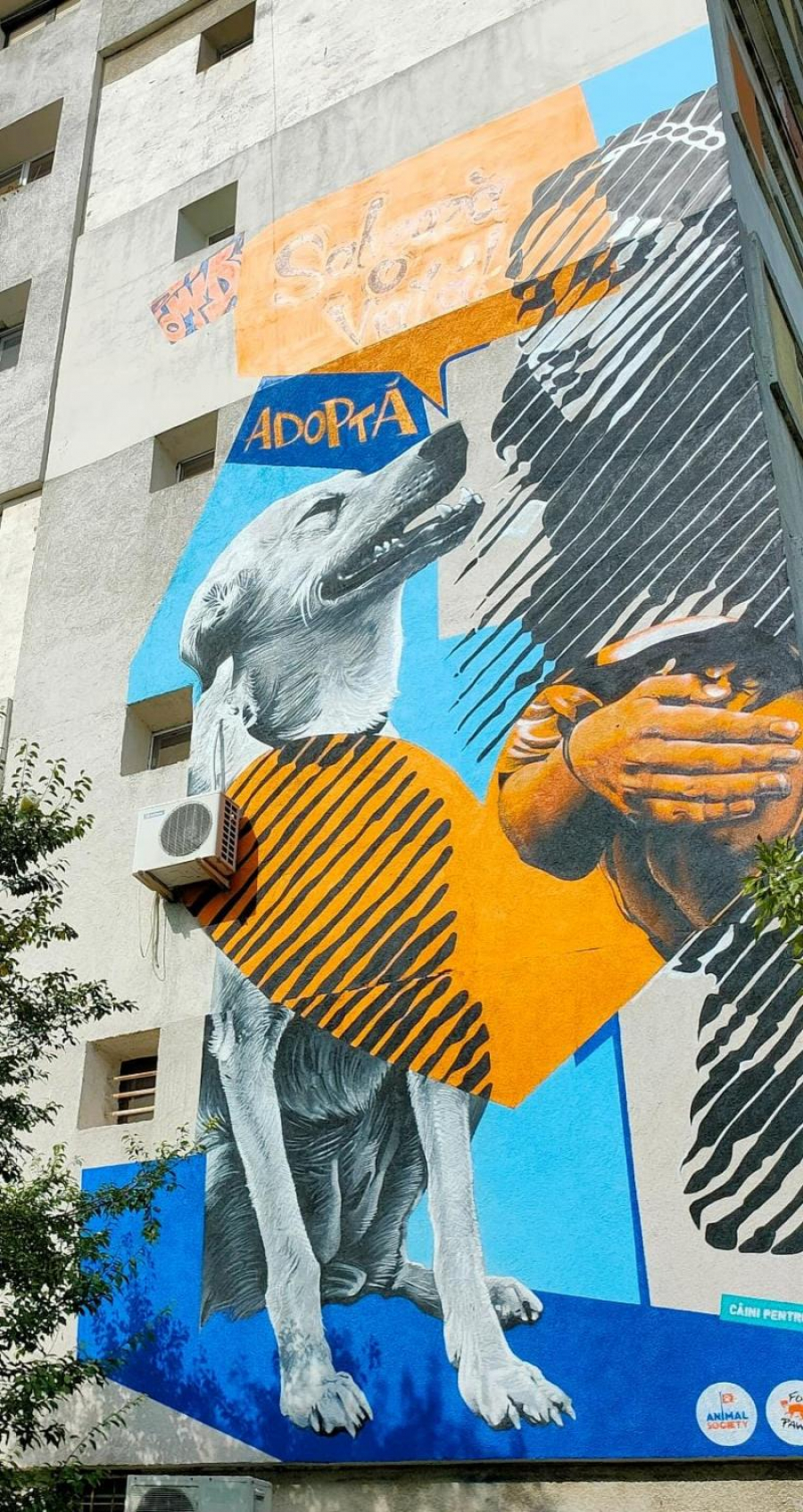 Empatie pentru necuvântătoare, prin pictură murală