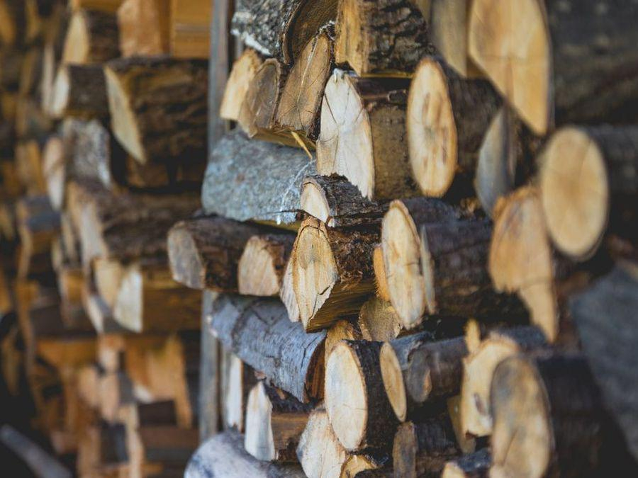 Vouchere pentru lemne de foc pentru fiecare gospodărie