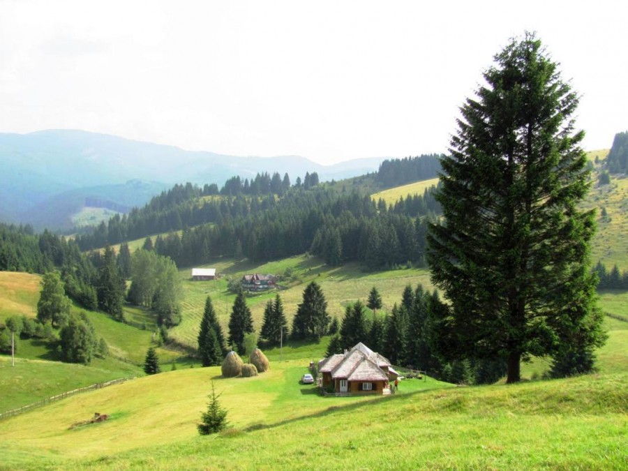 VIDEO/ "Wild Carpathia 2", care promovează România, în premieră pe 5 septembrie