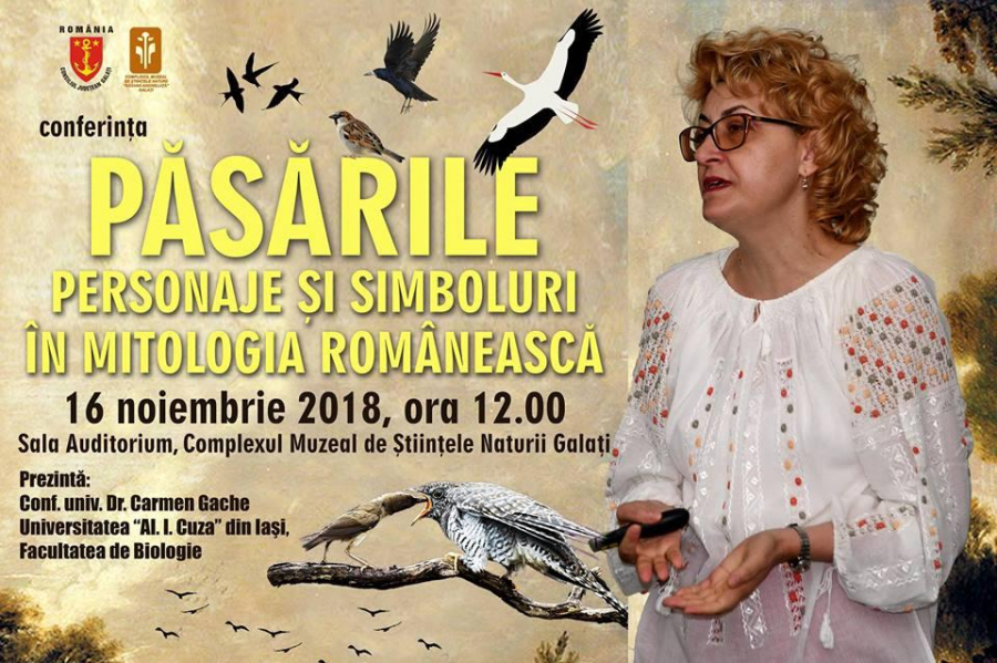 Despre puterile magice ale păsărilor din România