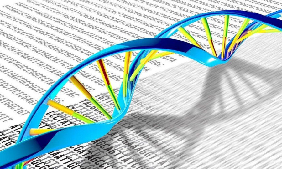 A fost descoperită o vulnerabilitate a celulelor canceroase