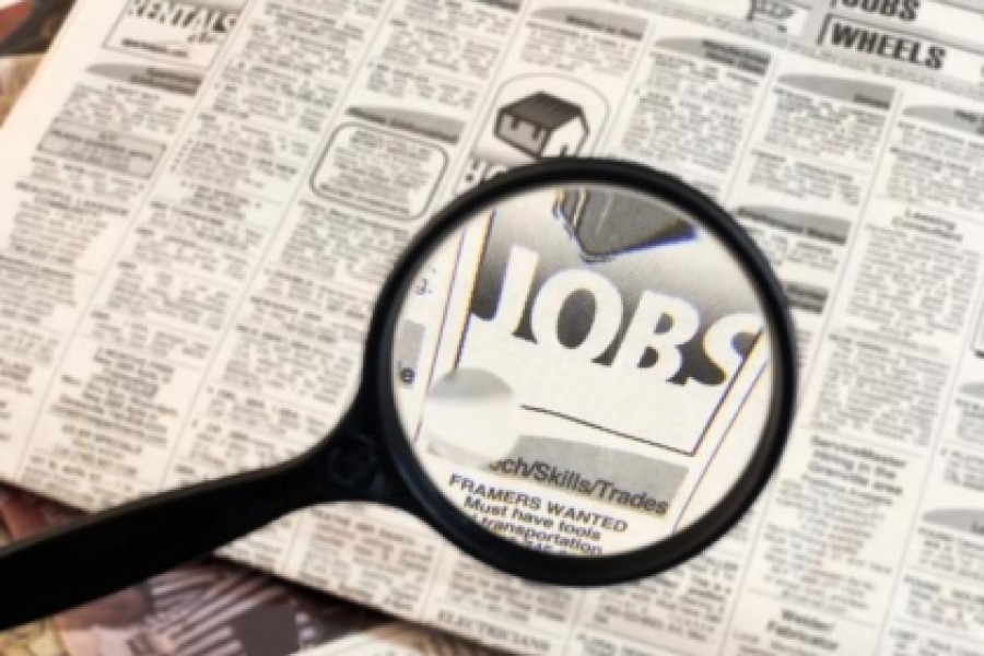 Cele mai căutate joburi în ultimele trei luni: Care au fost domeniile în care românii au vrut un loc de muncă