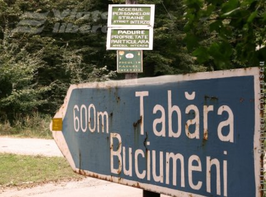 Buciumeni: în loc de foc de tabără, incendiu