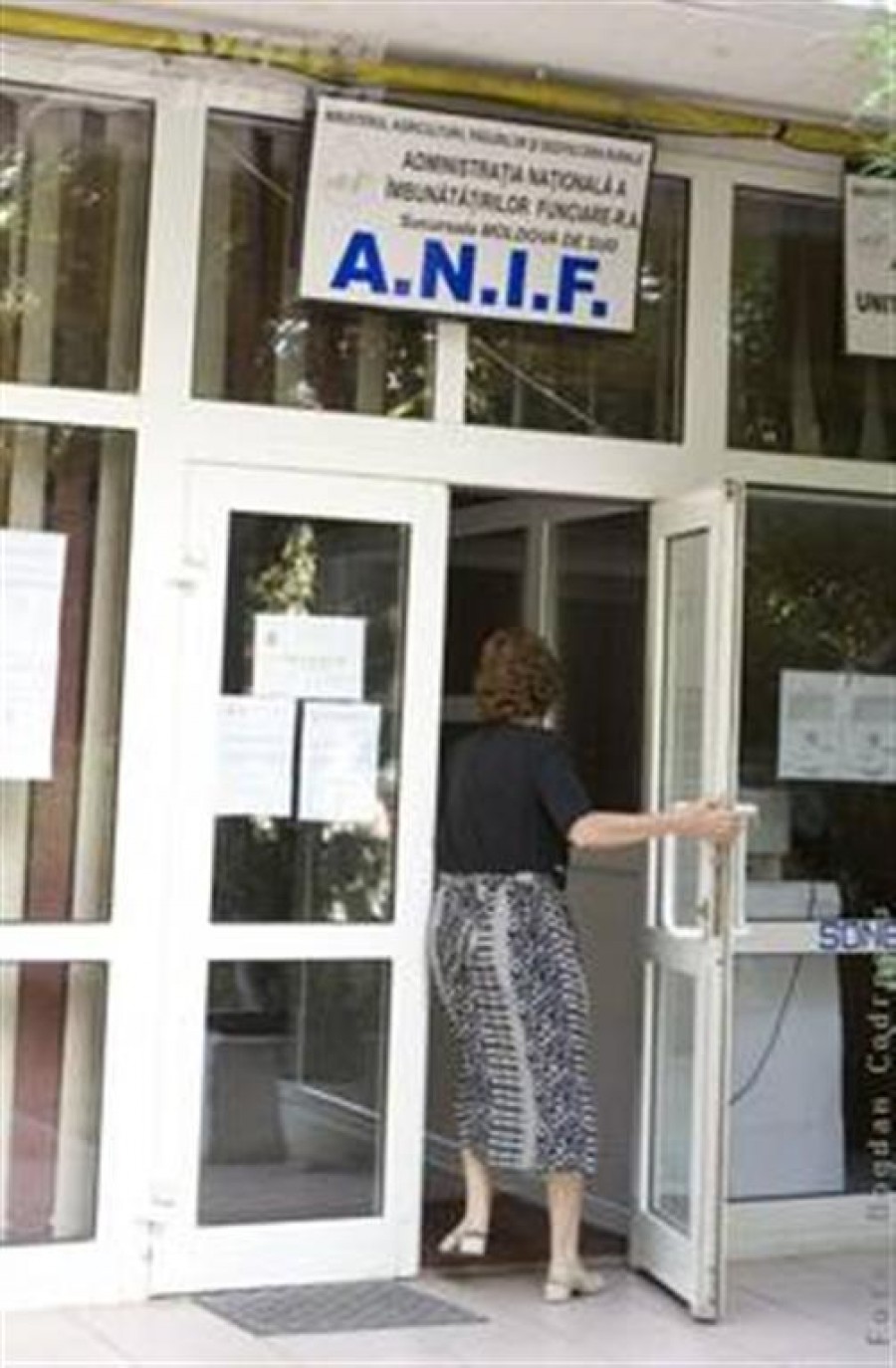 Un singur candidat pentru conducerea ANIF Galaţi