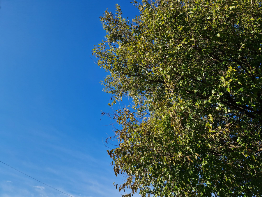 Vreme în curs de încălzire